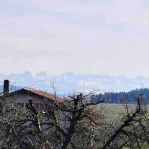 Freistehendes, Denkmalgeschutztes Stockli Bei Bern Kirchlindach Exterior photo