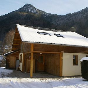 Spacious Chalet Near The Ski Area Villa Saint-Jean-d'Aulps Exterior photo