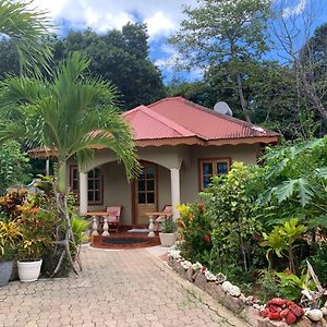 Island Bungalow Villa La Digue Exterior photo