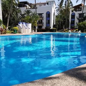 Puerto De Luna Pet Friendly And Family Suites Puerto Vallarta Exterior photo