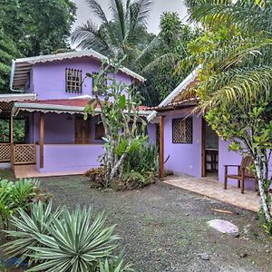 Casa Violeta Beach House In Punta Uva Exterior photo
