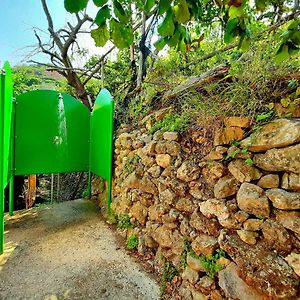 Il Limoneto Di Lulu, Holidays Among The Lemon Trees Minori Exterior photo