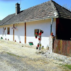 Traditionelles Bauernhaus Flieder Zalaszentgrót Exterior photo