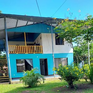 Casa Caribe Bed & Breakfast Tortuguero Exterior photo