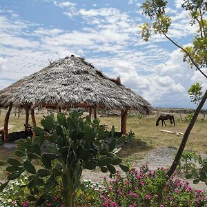 Hotel Pachingo Tatacoa Desert La Victoria  Exterior photo