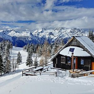 Chalet Zlatica Velika Planina Villa Stahovica Exterior photo