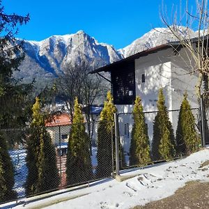 Vila Mura Buşteni Exterior photo