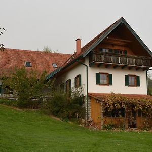 Villa Bauernhof Grain à Feldbach  Exterior photo