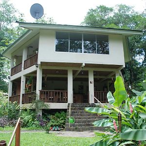 Heliconia Island Bed and Breakfast Sarapiquí Exterior photo