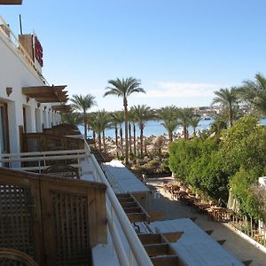 Hotel Oonas Dive Club Sharm el Sheikh Exterior photo