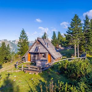 Chalet Encijan - Velika Planina Villa Stahovica Exterior photo