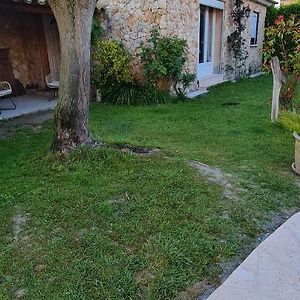 Petit Gite De Provence Mazan Exterior photo