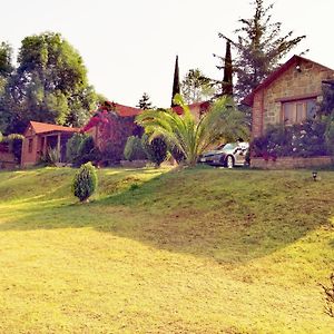 Cabañas villa de San Miguel Huasca de Ocampo Exterior photo