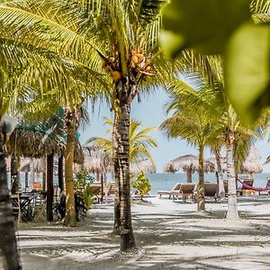 Zomay Beachfront Holbox Hotel Exterior photo