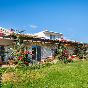 Abacatus Farmhouse Villa Tavira Exterior photo