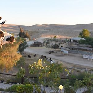 הוילה מצפה רמון Alpaca Farm - חוות האלפקות Exterior photo