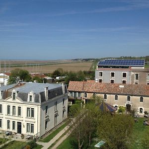 Le Domaine Du Meunier Mortagne-sur-Gironde Exterior photo