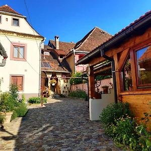 Casa Marcus Apartment Sighisoara Exterior photo