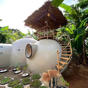 Villa Adorable Dome House à Puerto Princesa Exterior photo