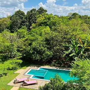 Into The Wild Sigiriya Hotel Exterior photo