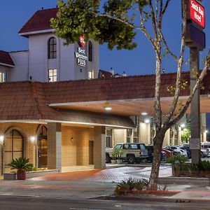 Best Western Plus South Bay Hotel Lawndale Exterior photo