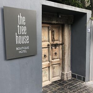 The Tree House Boutique Hotel By The Living Journey Collection Kaapstad Exterior photo