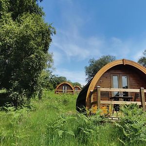 Hotel Glendalough Glamping - Adults Only Laragh Exterior photo