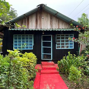 Flor De La Selva Apartment Puerto Narino Exterior photo