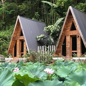 Homestay Điện Biên- Thung Lũng Hoa Hồng Điện Biên Phủ Exterior photo