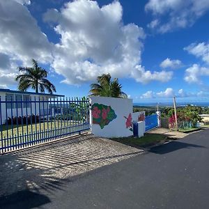Million Dollar View In Puerto Rico Luquillo Exterior photo