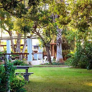 Rosedale Organic Farm Bed & Breakfast Bed & Breakfast Addo Exterior photo