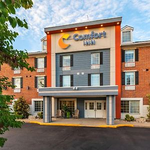 Comfort Inn Sarnia Exterior photo