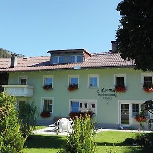 Villa Gastehaus Hoamat'L à Bach  Exterior photo