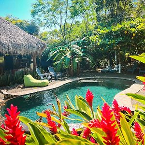 Glamping Hotel Flor Y Bambu Playa Grande Exterior photo