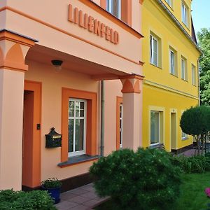 Penzion Valkoun-Lilienfeld Karlsbad Exterior photo