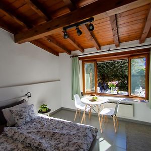 Rustico Al Sole - Just Renewed 1Bedroom Home In Ronco Sopra Ascona Ronco sopra Ascona Exterior photo