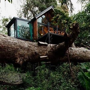 Villa Wilderness Treehouse à Doi Saket Exterior photo