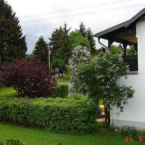 Villa Urlaub Auf Dem Bauernhof Marx à Kelberg Exterior photo