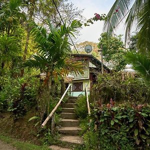 Sukia Hostel Drakes Bay Exterior photo