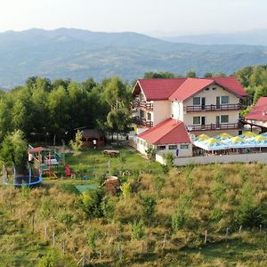 Pensiune Runcu Stone Villa Exterior photo