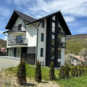 Transylvania House Hotel Moieciu de Jos Exterior photo