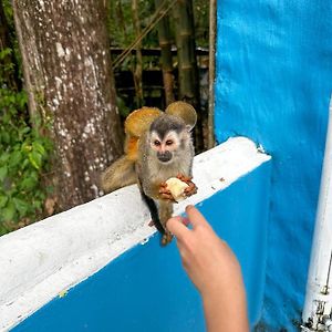 Hospedaje Colibri Bed & Breakfast Manuel Antonio Exterior photo