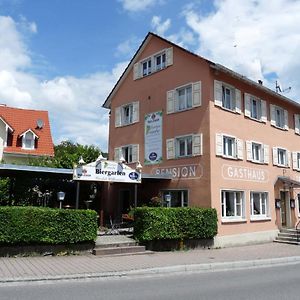 Gasthaus Traube Bodman-Ludwigshafen Exterior photo