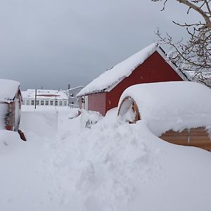Dalvík Vegamót Cottages Exterior photo