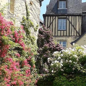 Petite Maison Romantique Au Calme, Coeur Historique Plantagenet, Jolie Vue Le Mans Exterior photo