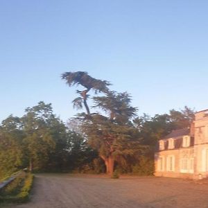 Château de Colliers Muides-sur-Loire Exterior photo