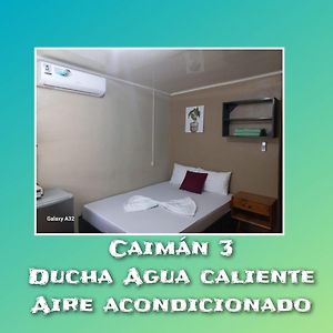 Apartamento Caimán 3 Tortuguero Exterior photo