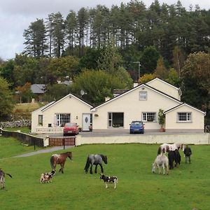 Muckross Riding Stables Cill Airne Exterior photo