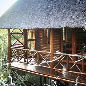 Lion Tree Bush Lodge Marloth Park Exterior photo