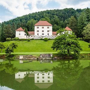 Grad Strmol Villa Cerklje na Gorenjskem Exterior photo